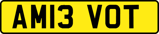 AM13VOT