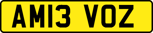 AM13VOZ