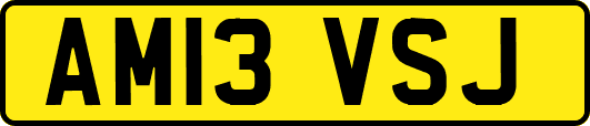 AM13VSJ