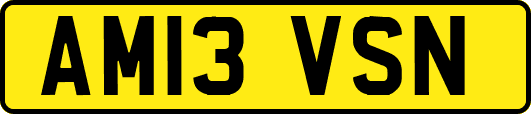 AM13VSN