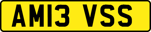 AM13VSS