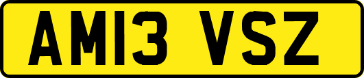 AM13VSZ