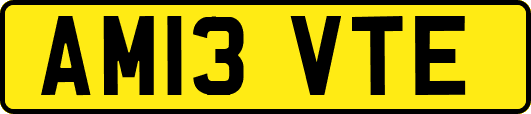 AM13VTE