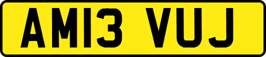 AM13VUJ