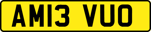 AM13VUO