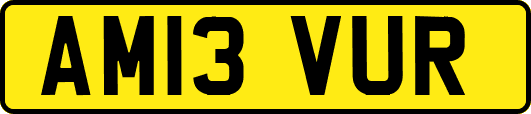 AM13VUR