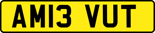 AM13VUT
