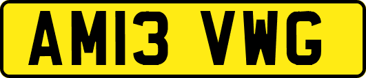 AM13VWG