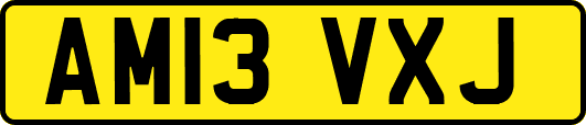 AM13VXJ