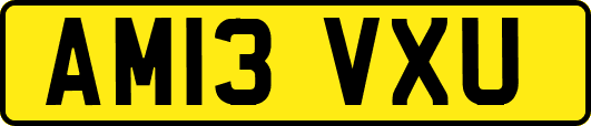 AM13VXU