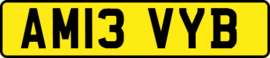 AM13VYB