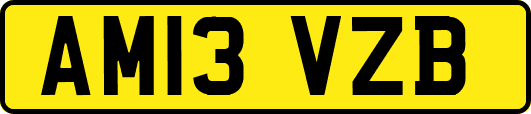 AM13VZB