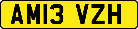 AM13VZH