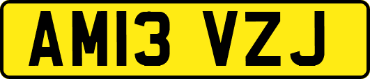 AM13VZJ