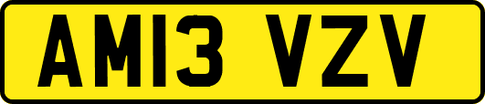 AM13VZV