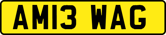AM13WAG