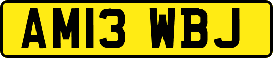 AM13WBJ