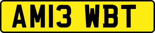 AM13WBT