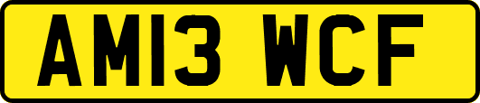 AM13WCF