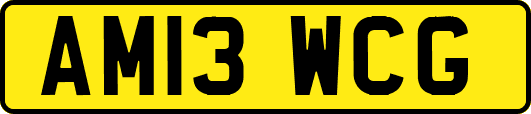 AM13WCG
