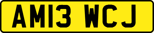 AM13WCJ