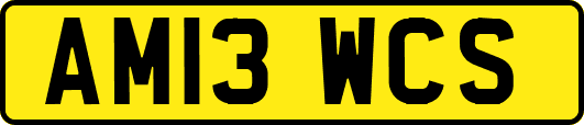 AM13WCS
