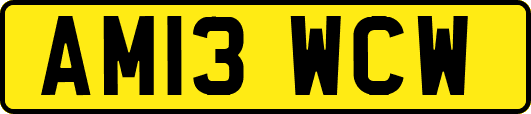 AM13WCW