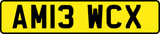 AM13WCX