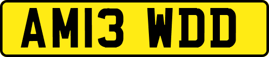 AM13WDD