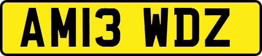 AM13WDZ