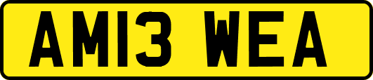 AM13WEA