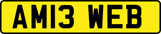 AM13WEB
