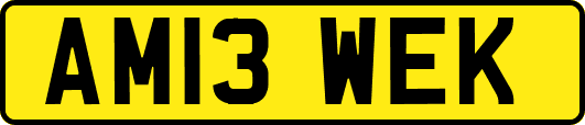 AM13WEK
