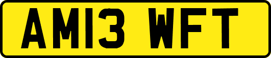AM13WFT