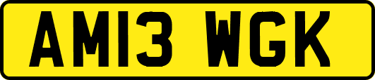 AM13WGK