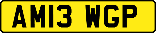 AM13WGP