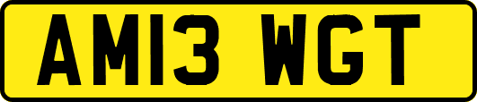 AM13WGT