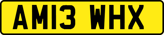 AM13WHX