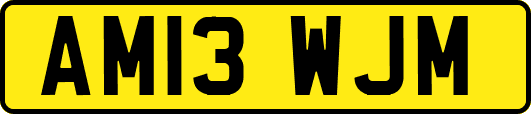 AM13WJM