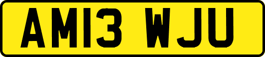AM13WJU