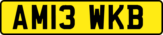 AM13WKB
