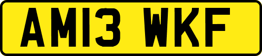 AM13WKF