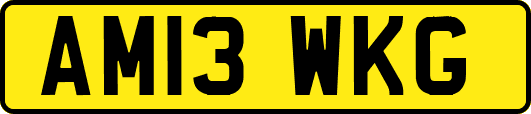 AM13WKG