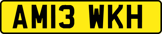 AM13WKH