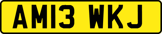 AM13WKJ