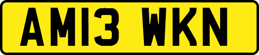 AM13WKN