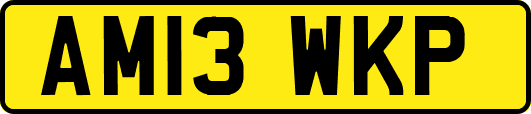 AM13WKP