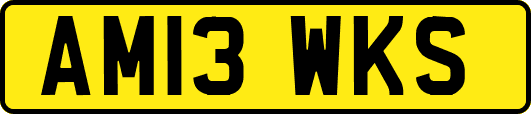 AM13WKS