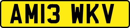 AM13WKV