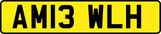 AM13WLH